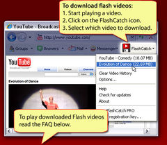 download FlashCatch