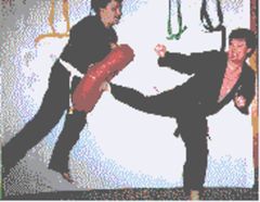 download Affiliate Package for Solo Martial Arts