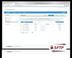 download SFTP Connector (Windows)