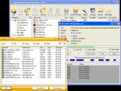 download Download Accelerator Manager