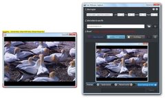 download Free Webcam Capture