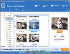 download MiniTool Power Data Recovery Free