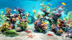 download Sim Aquarium