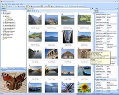 download Photo Manager 2010 Standard
