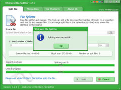 download WinMend File Splitter
