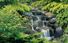 download Free Living Waterfall