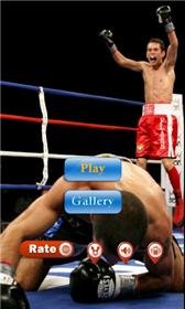 download Boxing apk
