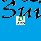 download AMD Catalyst Suite