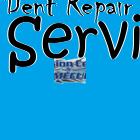 download Guide for Self Paintless Dent Repair Service