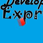 download Virtual Ticket Developer Express