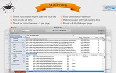 download SEOSpyder mac