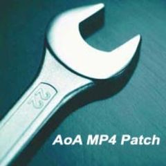 download AoA MP4 Patch