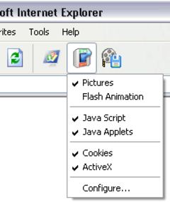 download Flash and Pics Control