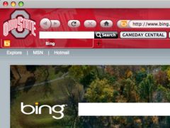 download Ohio State Buckeyes IE Browser Theme