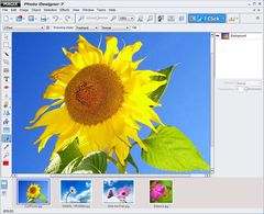 download Magix Photo Designer