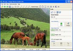 download Image Resize Guide Lite