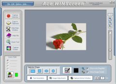 download Ace WINScreen
