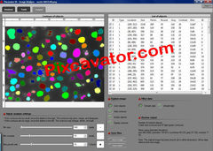 download Pixcavator Image Analysis Software