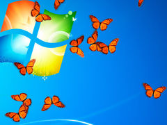 download Butterfly On Desktop