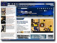 download Michigan University IE Browser Theme