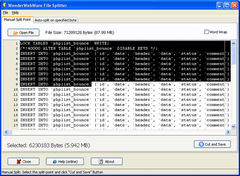 download WonderWebWare File Splitter