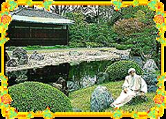 download Osho enjoying zen garden view
