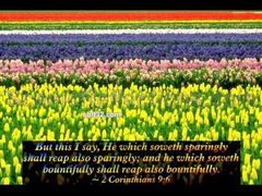 download Spring (with Bible Verses) Screensaver