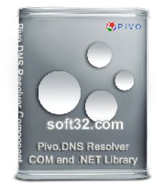download Pivo DnsResolver Component