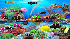download Virtual Aquarium Wallpaper