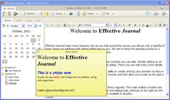 download Effective Journal